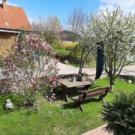Familienfreundliche Ferienwohnung Auf Dem Lande Monteur Wohnung Hessisch Oldendorf Eksteriør billede